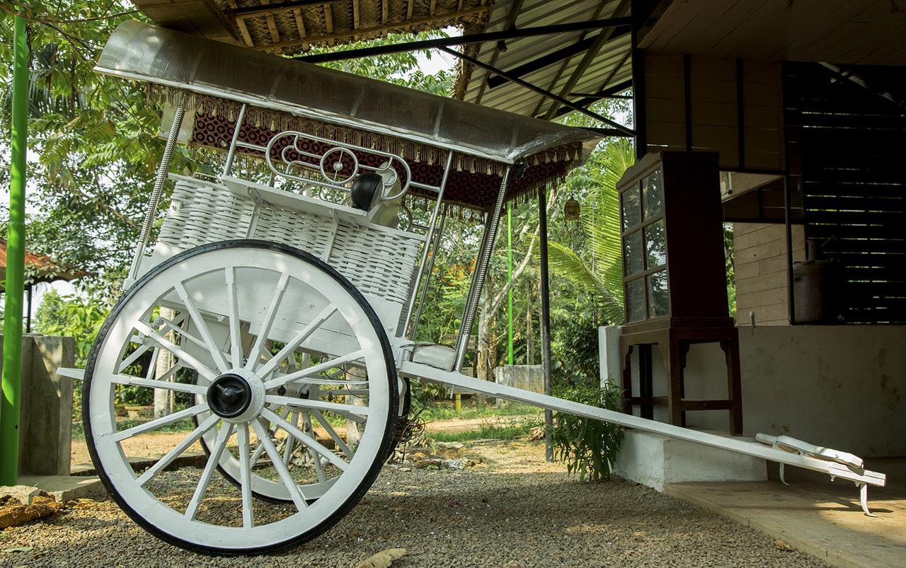 Hotel Mango Meadows Kottayam Exterior foto